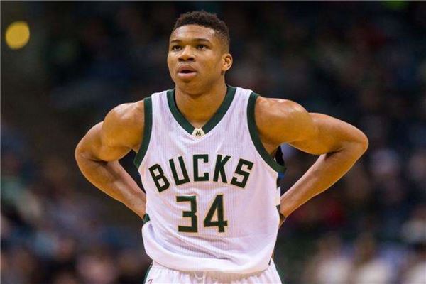 了这对组合 了这对组合