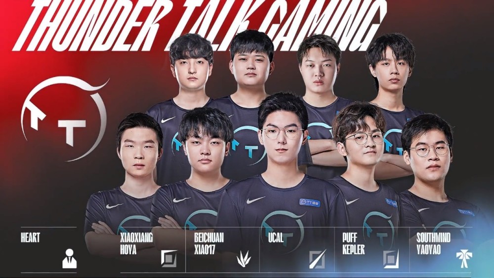 体育明星效 体育明星效