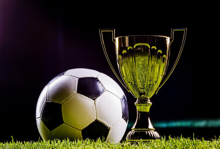 了强有力的 了强有力的