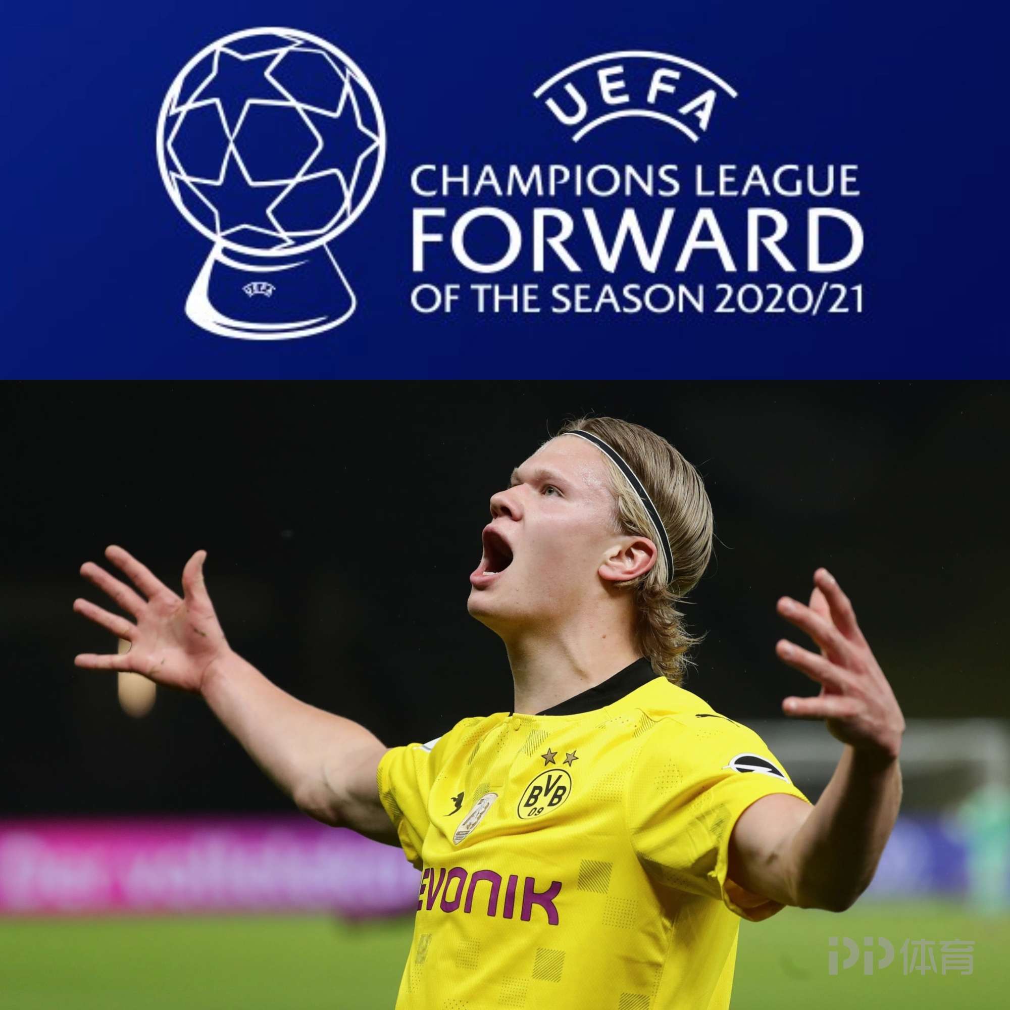 虽不能扭转 虽不能扭转