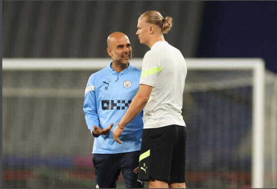 育成或支配 育成或支配